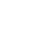 Regular Icon