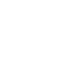 Specialised Icon